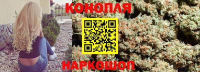 индика Лесосибирск